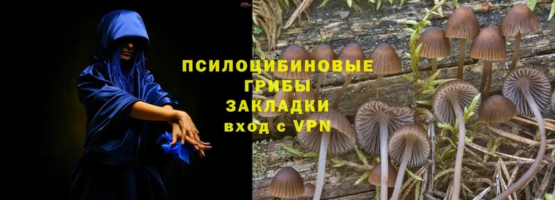 Галлюциногенные грибы GOLDEN TEACHER  как найти наркотики  Богородск 